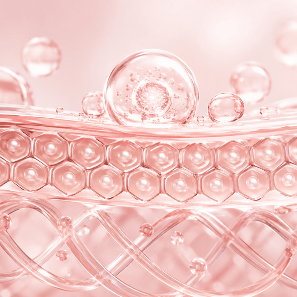 Ceramide + Collagen
